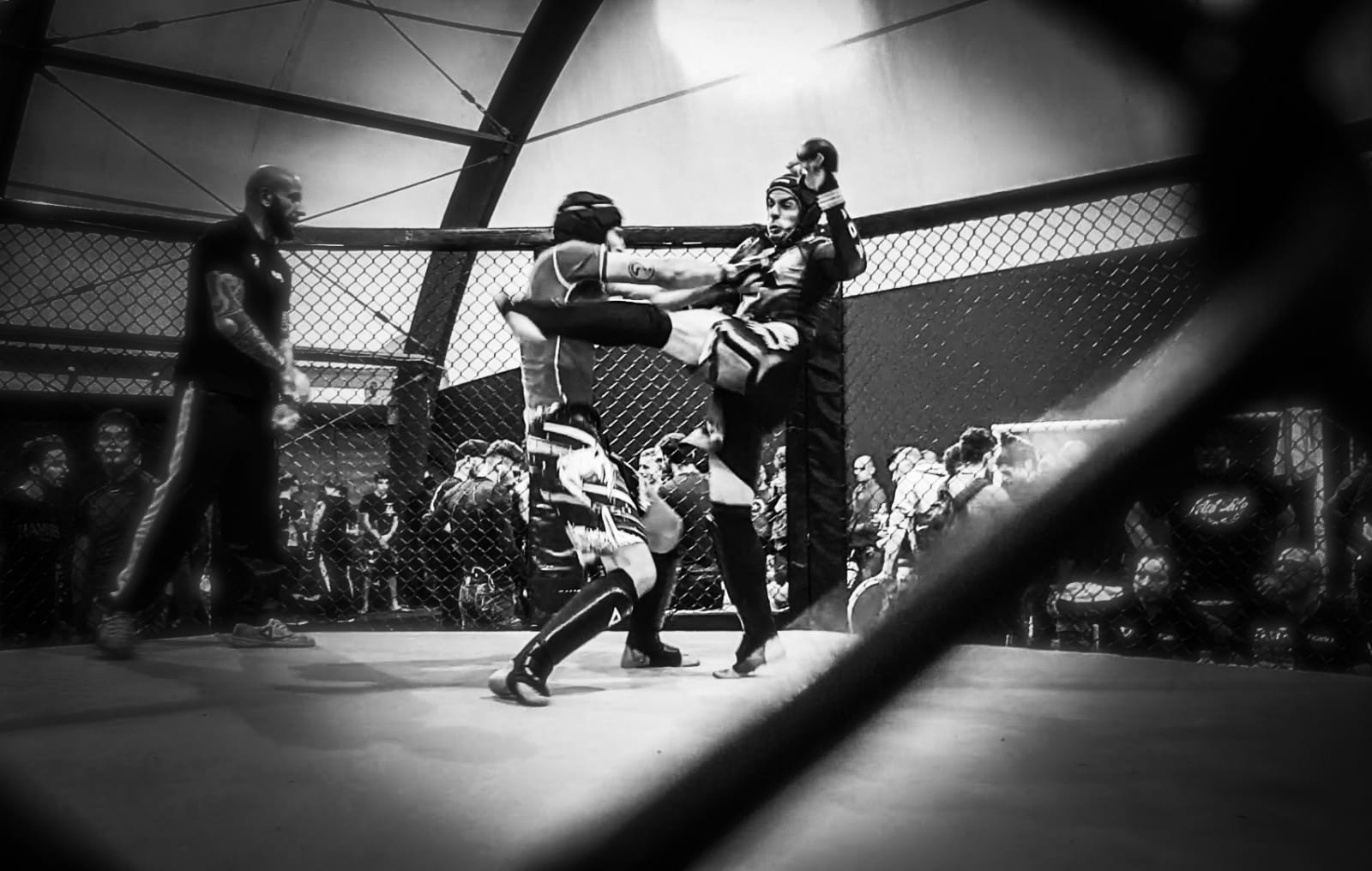IMG-20181112-WA0041